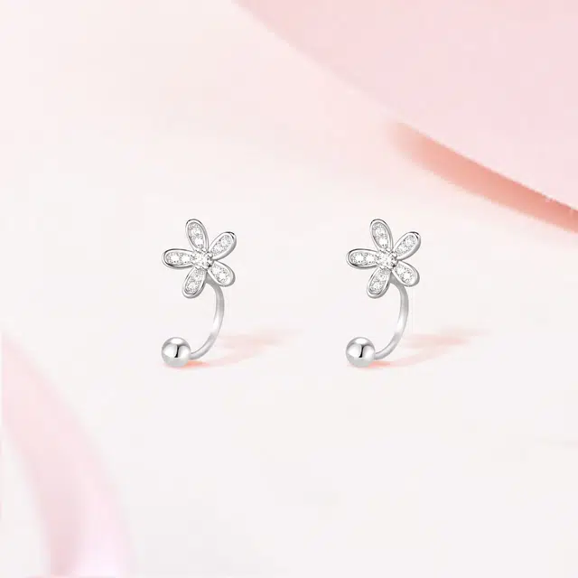 Crafts Women ins