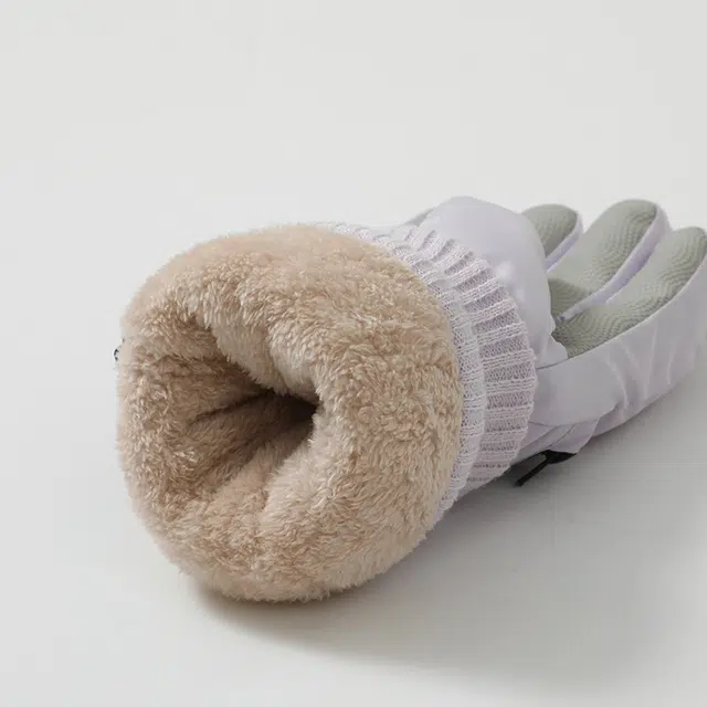 俞兆林 加绒加厚女士新款可触屏紫色冬季骑行防风防寒防泼水掌心防滑腕口可调节 保暖 滑雪手套 女款