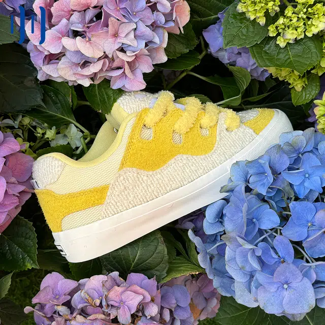 ollieskate Magic BAKE