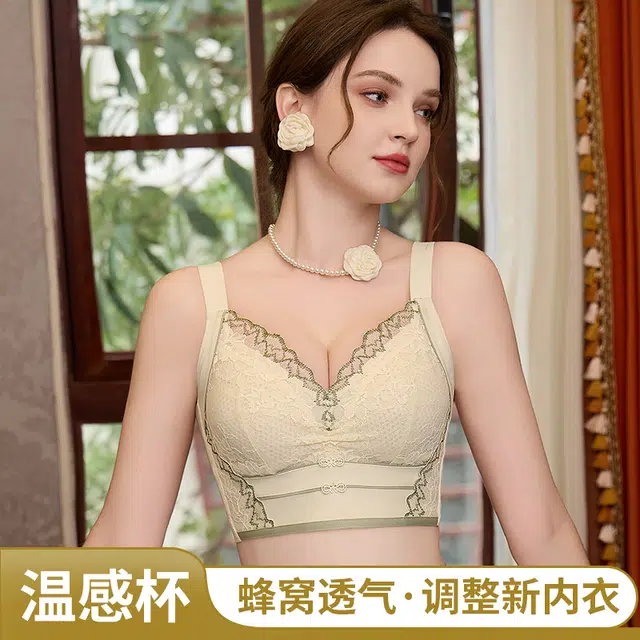 芬腾 大胸显小调整型全罩杯聚拢内衣大码防下垂收副乳高级感舒适蕾丝文胸 女款