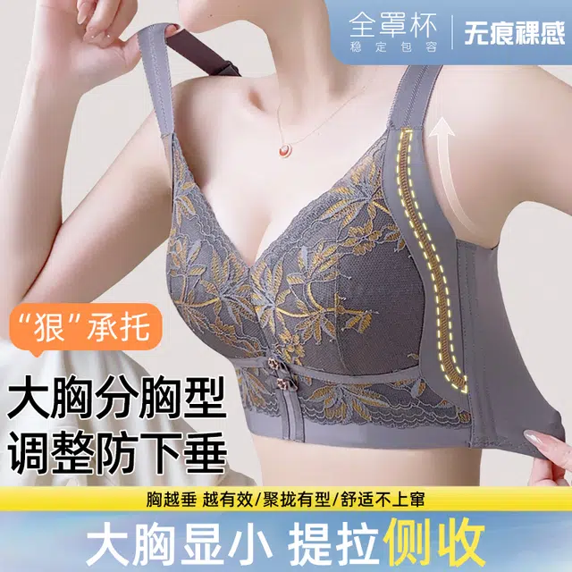 芬腾 大胸显小调整型全罩杯聚拢内衣大码防下垂收副乳高级感舒适透气蕾丝文胸 女款