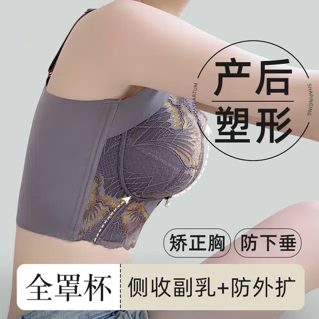 芬腾 大胸显小调整型聚拢内衣大码全罩杯防下垂收副乳高级感舒适透气蕾丝文胸 女款