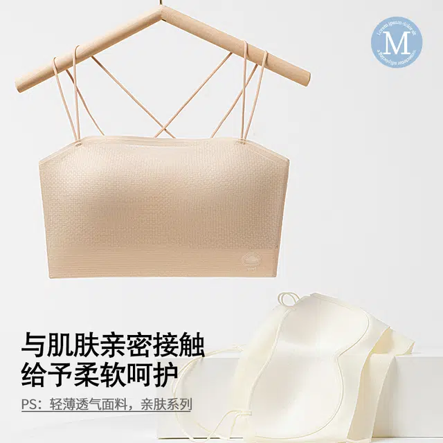 芬腾 带胸垫小胸聚拢防下垂收副乳美背打底薄款透气文胸 女款