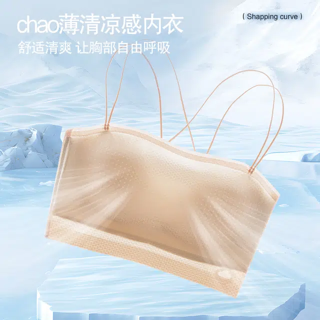 芬腾 带胸垫小胸聚拢防下垂收副乳美背打底薄款透气文胸 女款