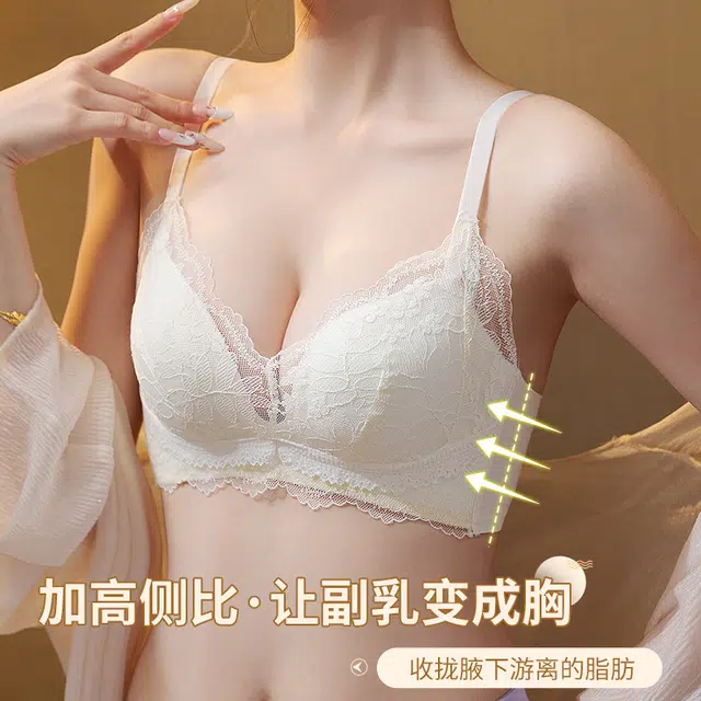 芬腾 聚拢小胸显大蕾丝无钢圈收副乳防下垂加厚调整型文胸 女款
