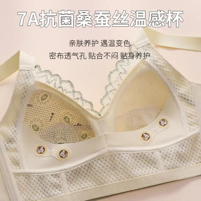 芬腾 大胸显小调整型全罩杯聚拢内衣大码防下垂收副乳高级感舒适蕾丝文胸 女款