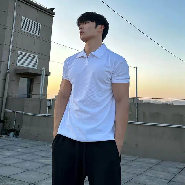JIMIJONS PoloPOLO