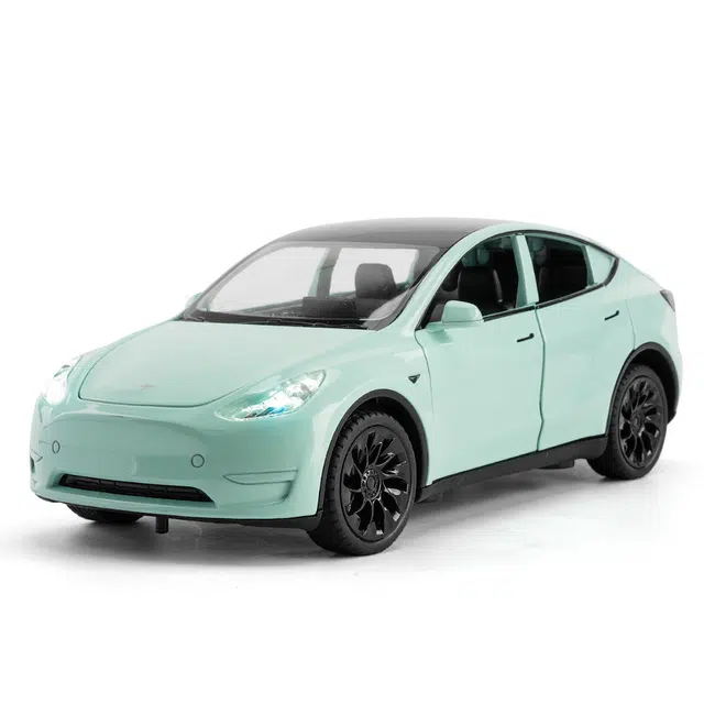 TY MODELS MODEL Y 124