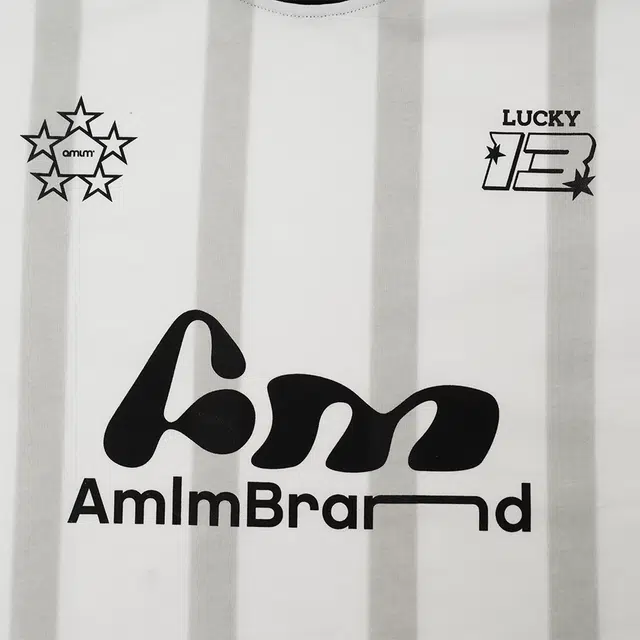 AMLM logoT