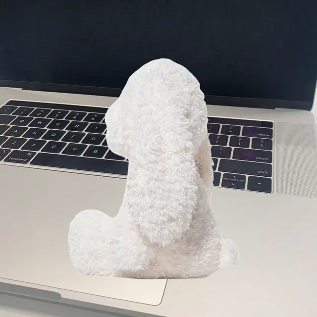 LEVENKENESS 38cm