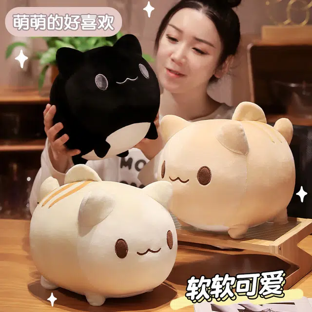 20cm25cm