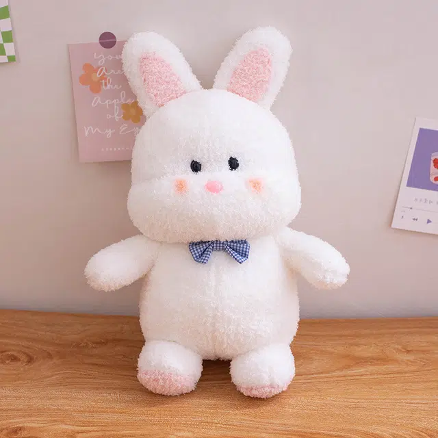 25cm35cm