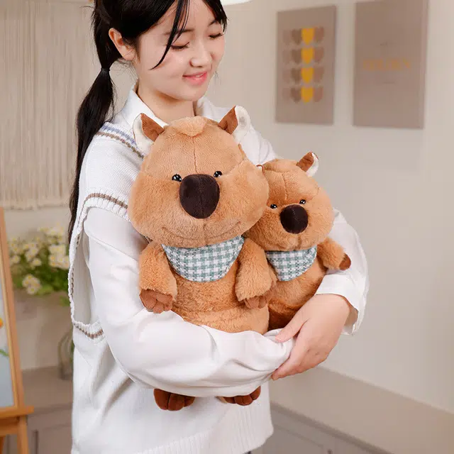 25cm30cm40cm