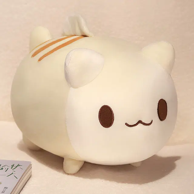 20cm25cm