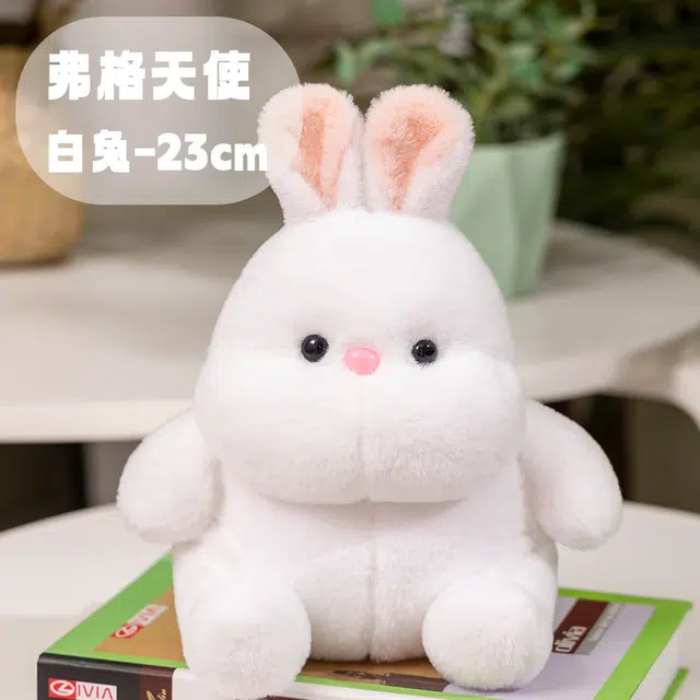 23cm
