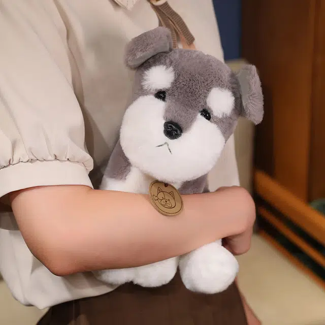 25cm