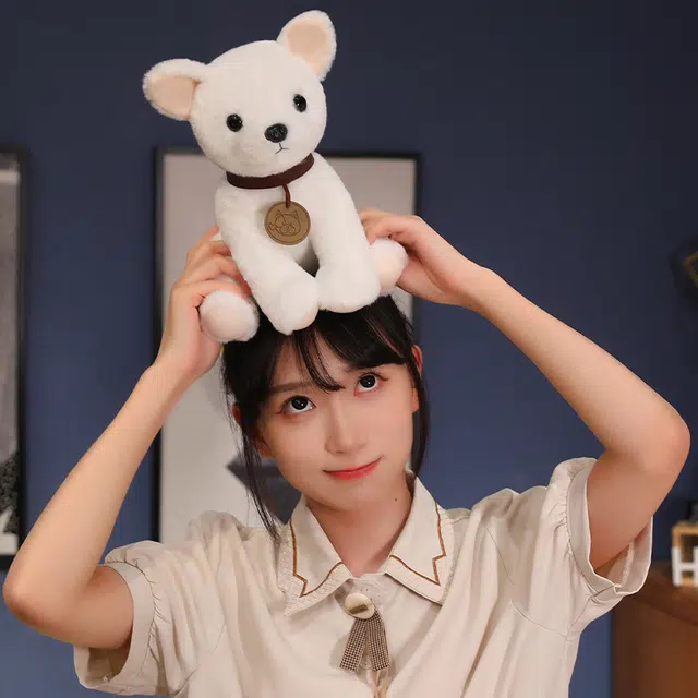 25cm