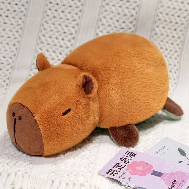 25cm35cm