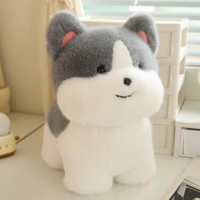 20cm30cm40cm