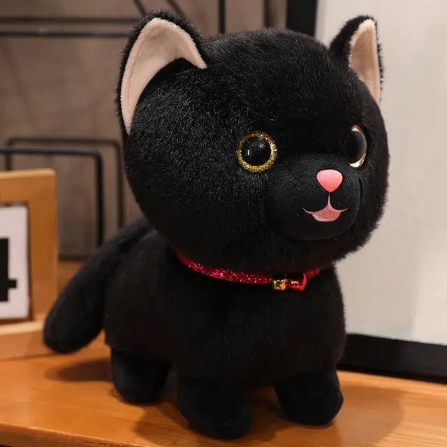 25cm