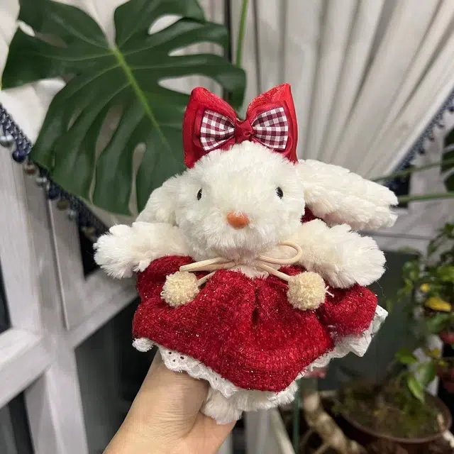 15cm
