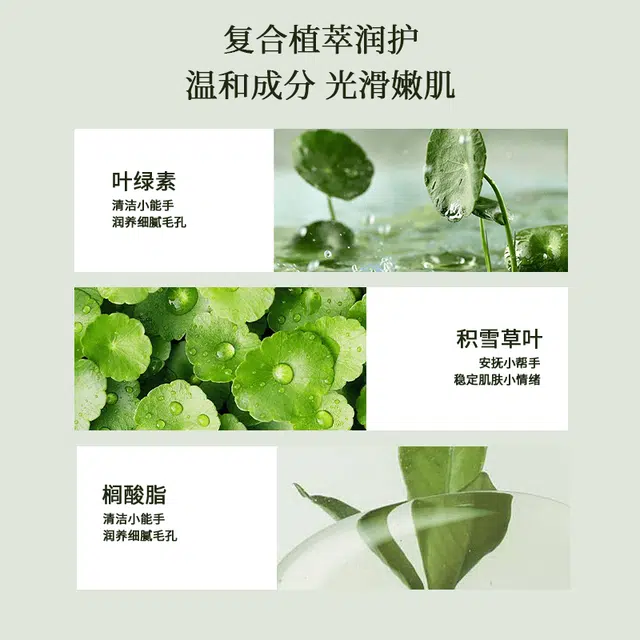 fanyongchen 120g+850ml