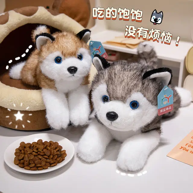 30cm40cm50cm