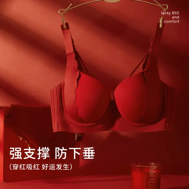 安娜蜜语 调整型胸大显小上托收副乳聚拢防下垂文胸 女款