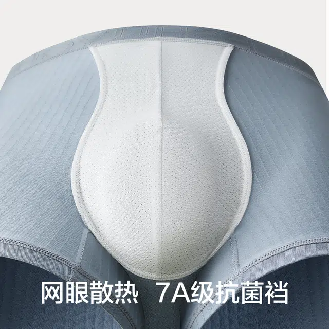 7A 2024