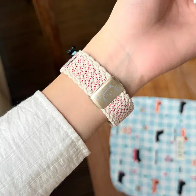 Akkerds watch54GT5GT4GT3Buds