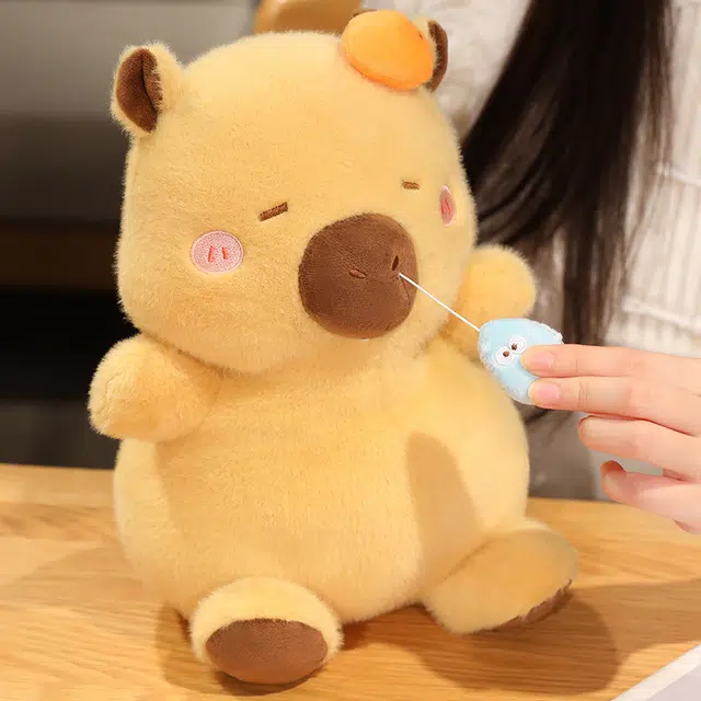 30cm