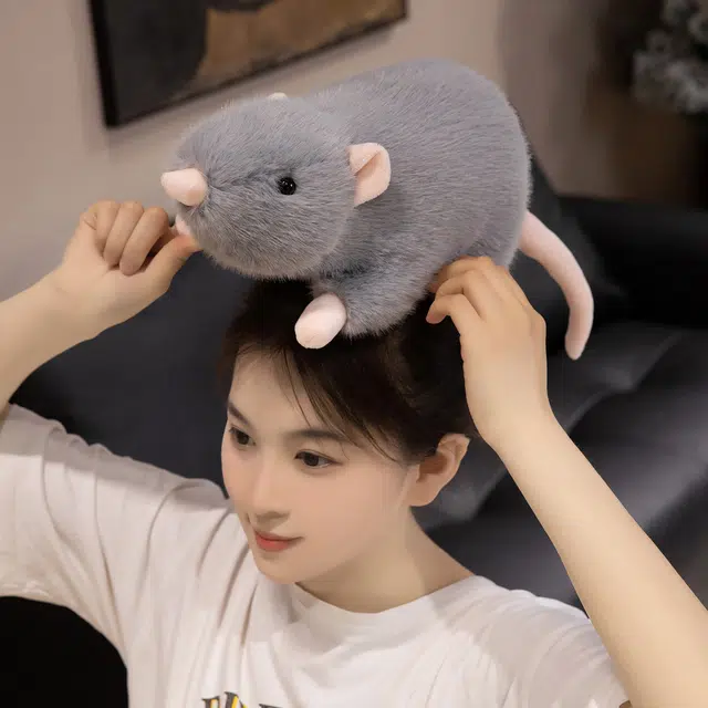 30cm50cm70cm100cm