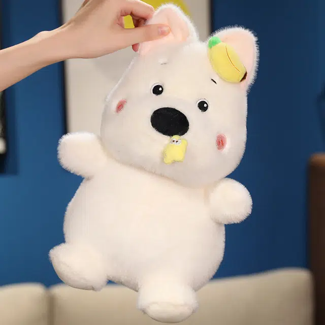 30cm
