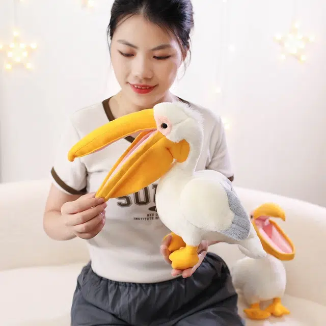 30cm