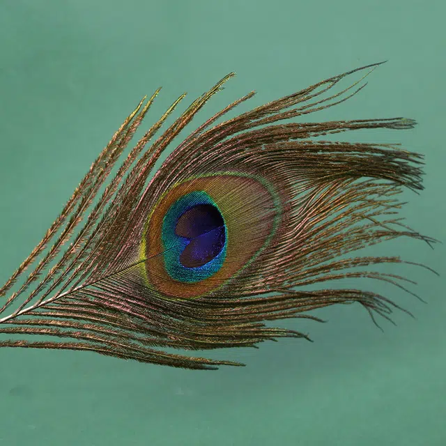 oukaiman 26cm