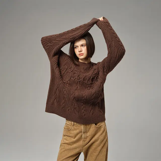 周淼 粗针绞麻花绣字母套头毛衣 女款