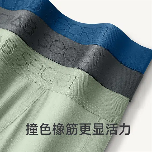 螃蟹秘密 云抱抱系列 纯色高弹力抗菌防静电桑蚕丝明筋男士保暖裤 男款