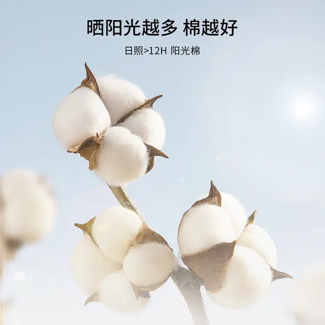 有棵树 纯棉防勒高弹卡通可爱柔软舒适内裤 本白色+机器人总动员+机器王国儿童款