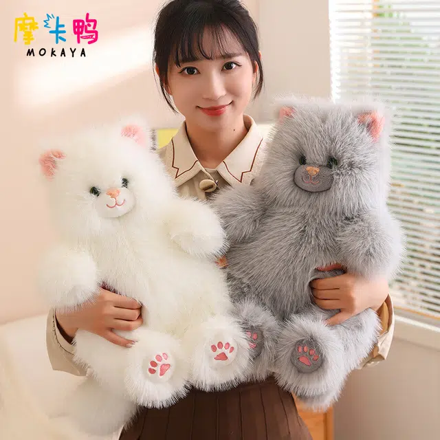 40cm50cm