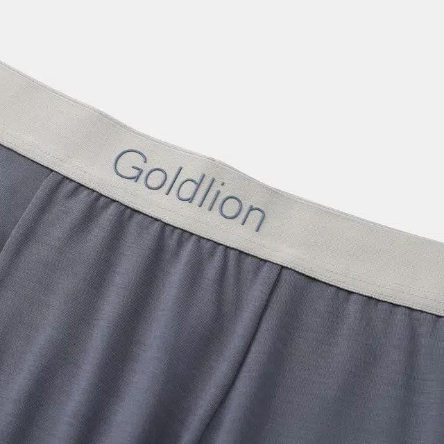 GOLDLION 3