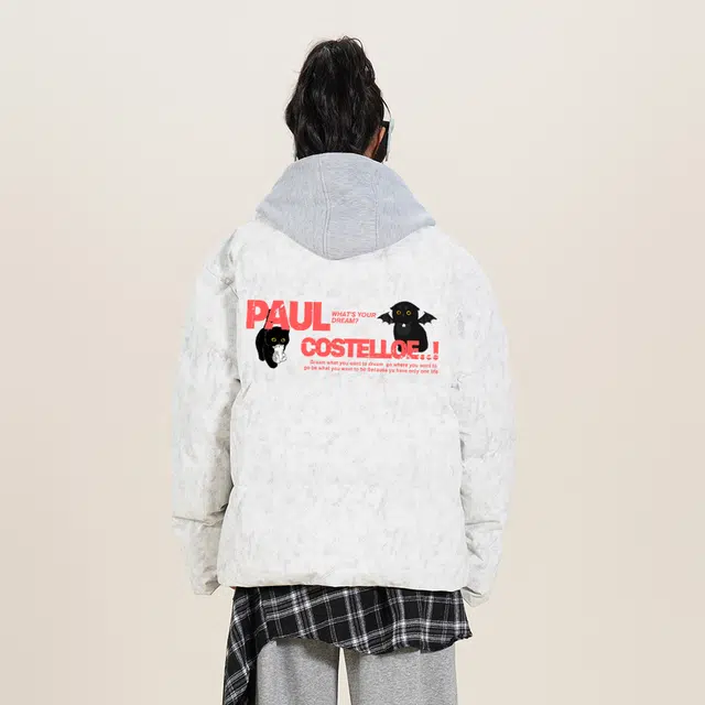 PAUL COSTELLOE logo