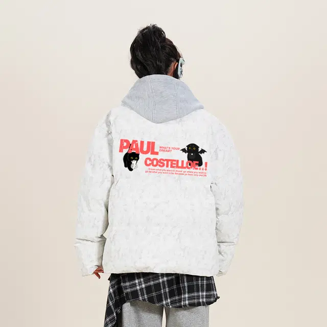 PAUL COSTELLOE logo