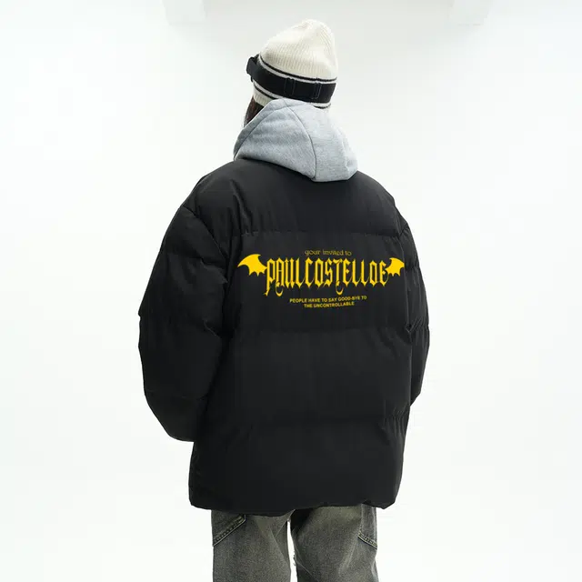 PAUL COSTELLOE logo