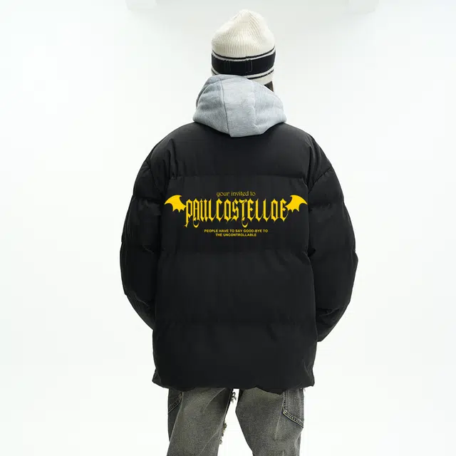 PAUL COSTELLOE logo
