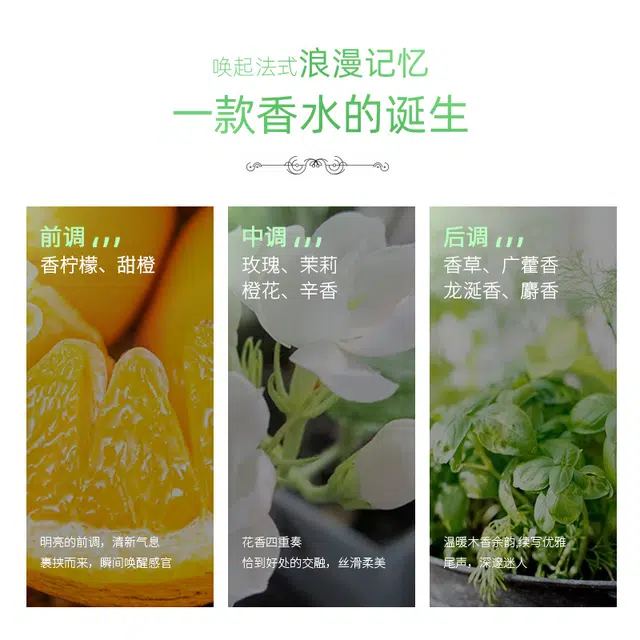 TJE parfum 30ml