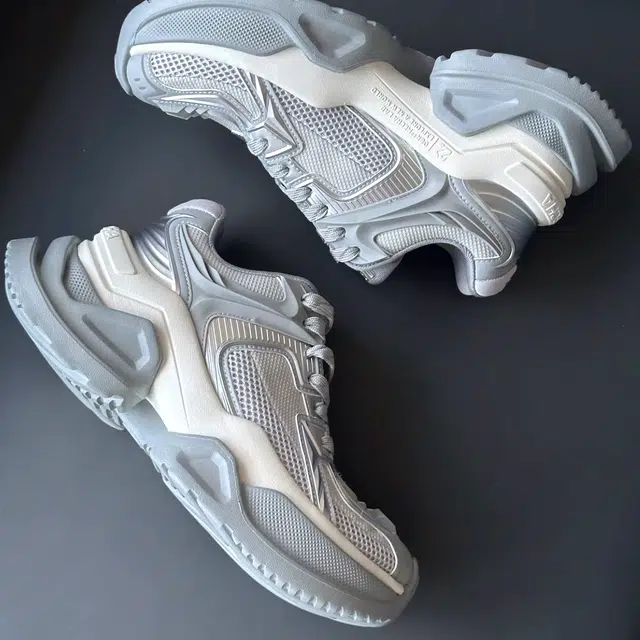 OGR ARK Og silver Y3K