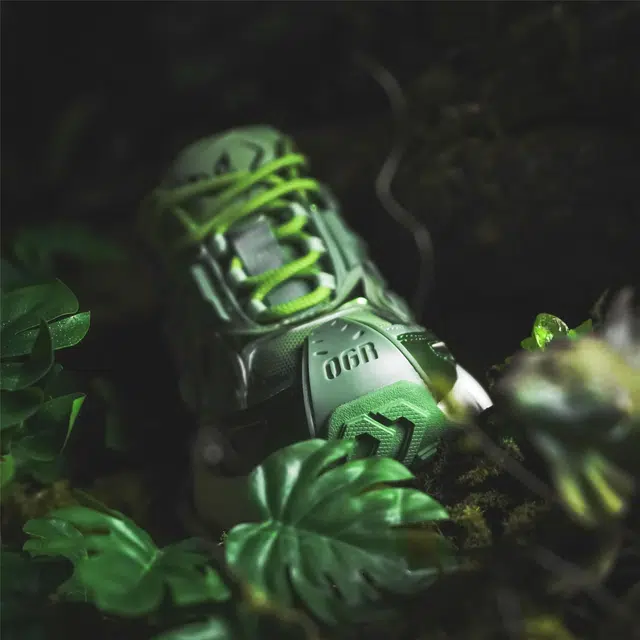 OGR