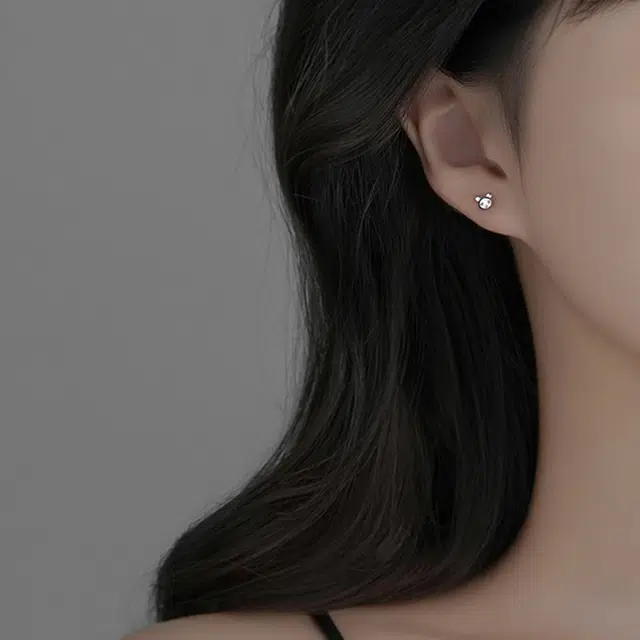 NVBBK ins