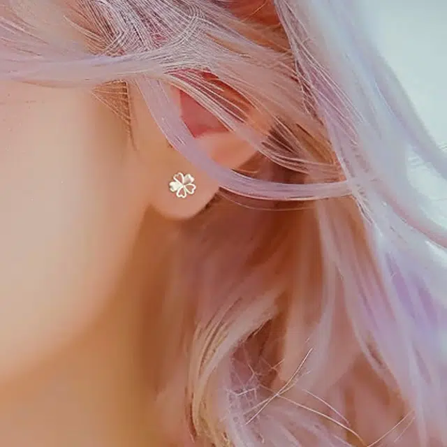NVBBK ins