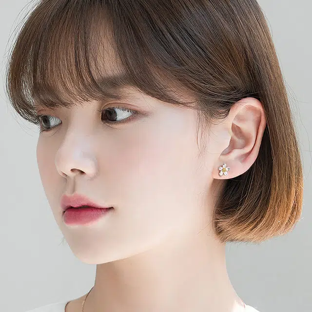 NVBBK ins